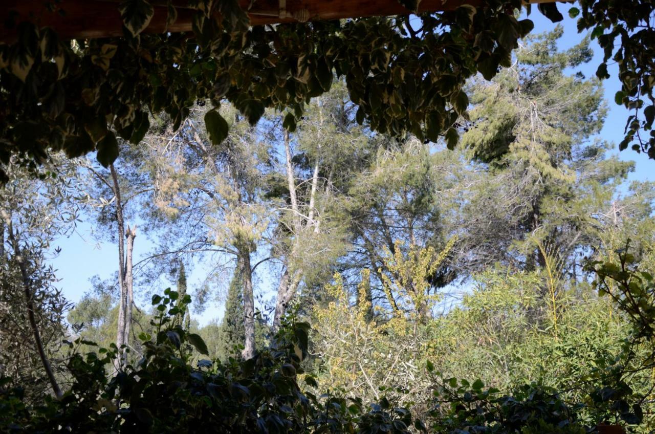 Mas Du Puech Clapas Vila Assas Exterior foto
